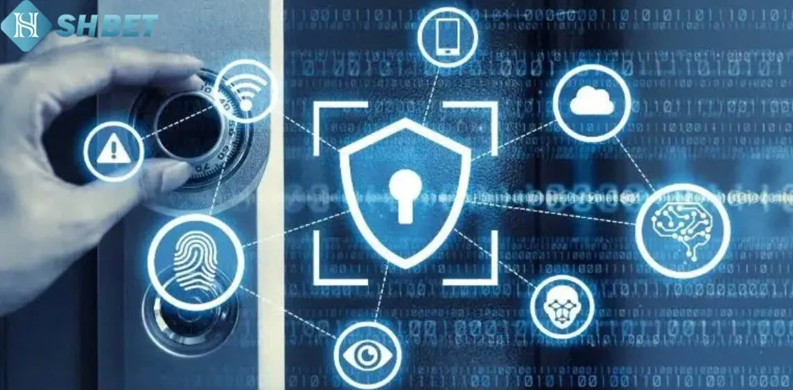 Chính Sách Shbet 2 Tầm quan trọng Chính Sách Shbet