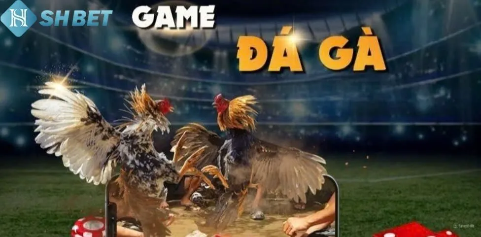 Đá Gà Shbet 3 Mẹo toàn thắng trong các phiên cược tại Đá Gà Shbet