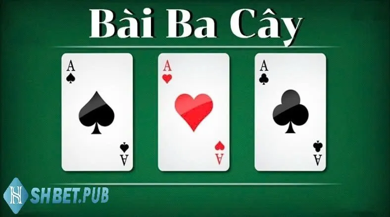 Đôi nét giới thiệu về Bài 3 Cây Shbet cho người mới