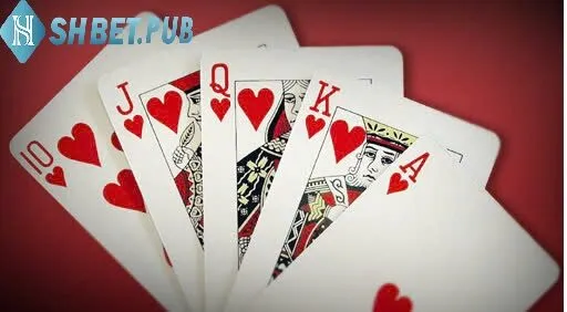 Bài Tấn Shbet là gì?